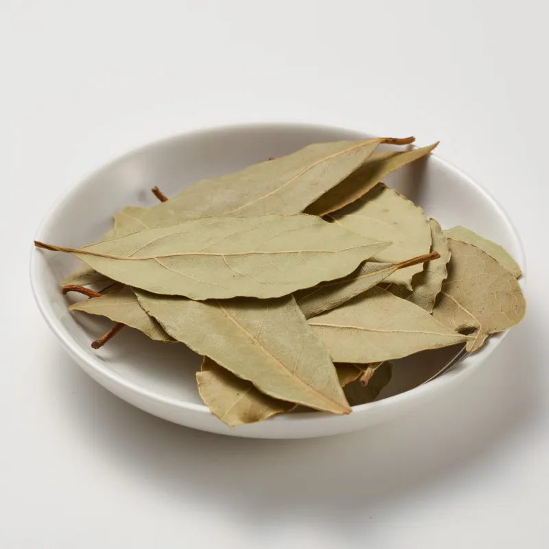Ολόκληρα φύλλα δάφνης αποξηραμένα